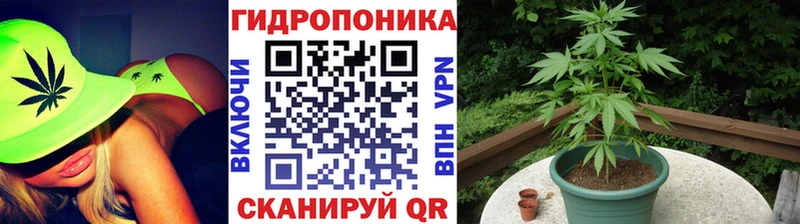 Купить закладку Яхрома Галлюциногенные грибы ГАШИШ