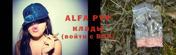 стафф Вяземский
