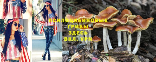 стафф Вяземский