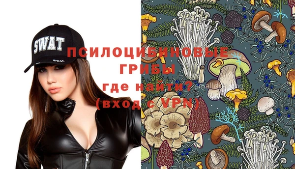 дурь Вязьма
