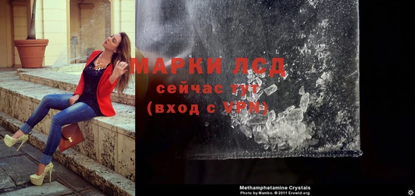 стафф Вяземский