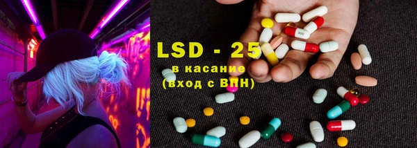 стафф Вяземский